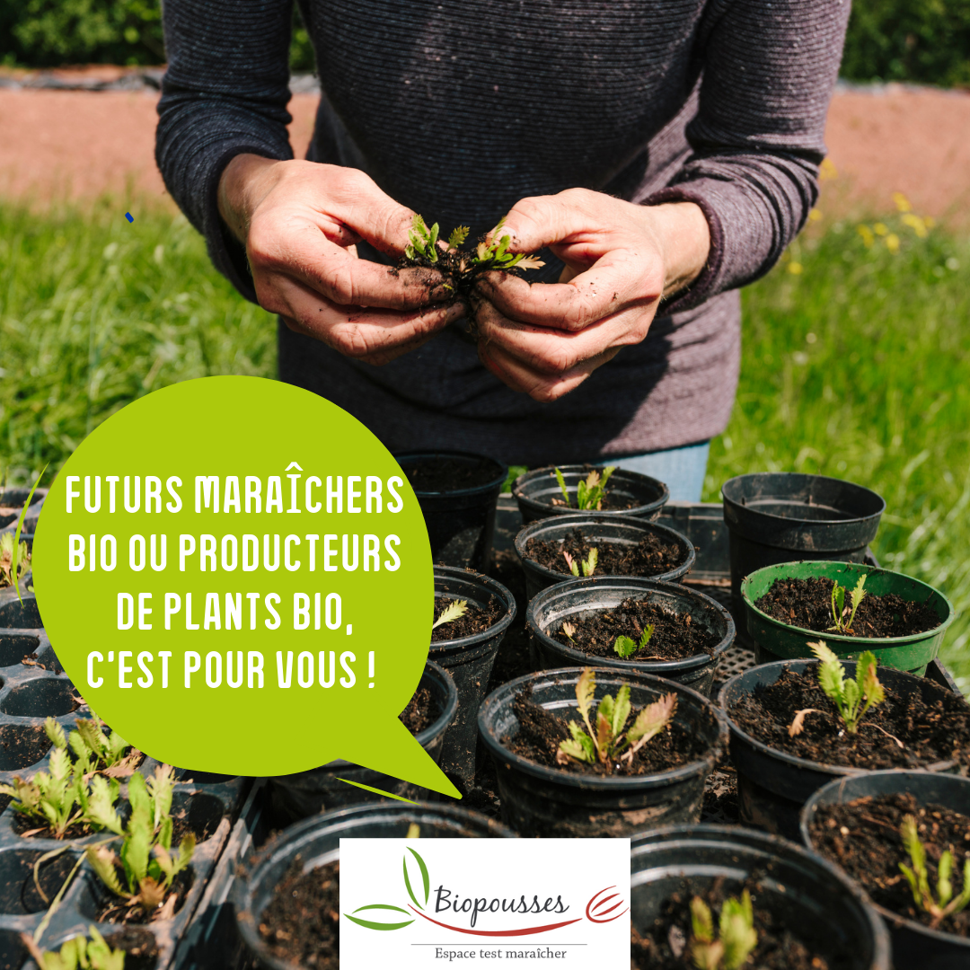 Vous souhaitez devenir maraîcher bio ou producteur de plants bio ? 