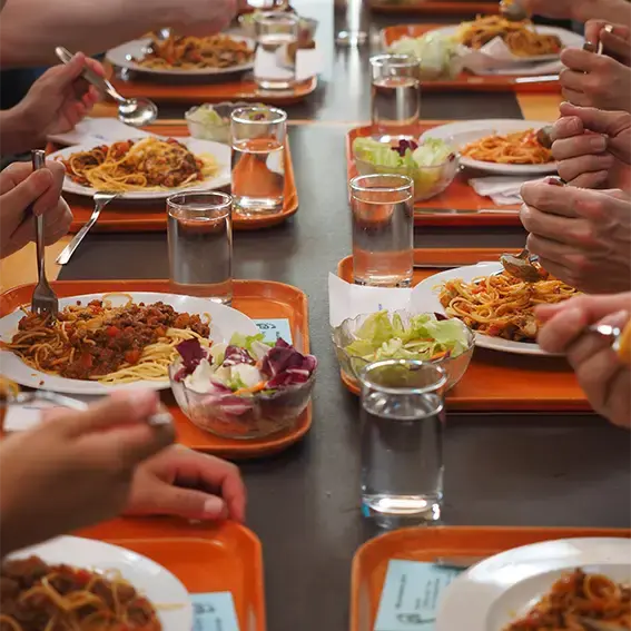 Comment mettre plus de bio en restauration collective ?