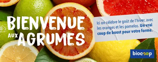 Bienvenue aux agrumes : oranges et pomelos de Corse !